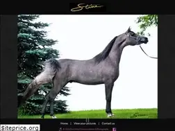 Sites similar to donstine.com