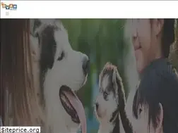 Sites similar to donvalleyanimalhospital.com