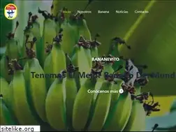 Sites similar to donvitobananas.com