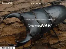Sites similar to dorcusnavi.com