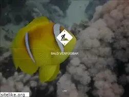 Sites similar to dornbrach.de