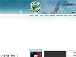 Sites similar to dortdivan.bel.tr