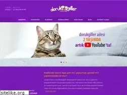 Sites similar to dorukgiller.com