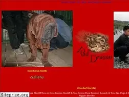 Sites similar to dosaworld.com
