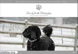 Sites similar to doseofdoodle.com
