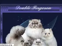 Sites similar to doubleforgeron.nl