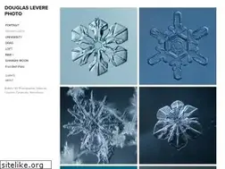 Sites similar to douglaslevere.com