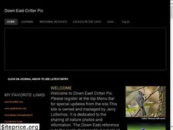 Sites similar to downeastcritterpix.com