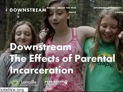 Sites similar to downstreamfilm.com