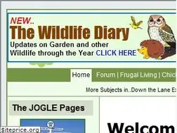 Sites similar to downthelane.net