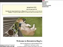 Sites similar to downtowndoglounge.com