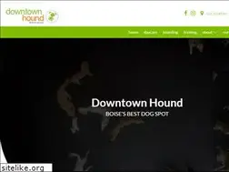 Sites similar to downtownhound.net