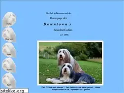 Sites similar to downtowns-bearded.de