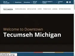 Sites similar to downtowntecumseh.com