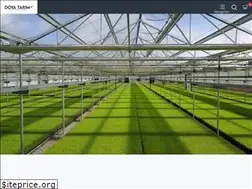 Sites similar to doyatarim.com