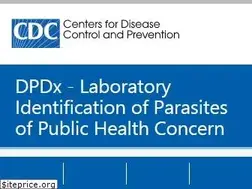 Sites similar to dpd.cdc.gov