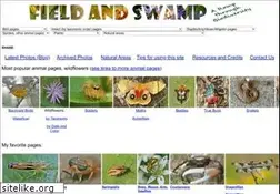 Sites similar to dpughphoto.com
