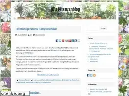 Sites similar to dracaena-drachenbaum.de