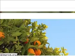 Sites similar to draffco.com