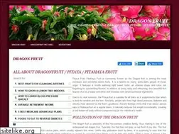 Sites similar to dragon-fruit.biz