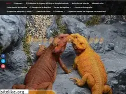 Sites similar to dragonbarbudo.es