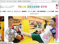 Sites similar to dragondojo.co.jp