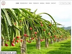 Sites similar to dragonfruit.net.vn
