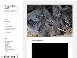 Sites similar to dragonseye.com