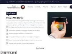 Sites similar to dragosamerikankulturkoleji.com