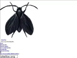 Sites similar to drainflies.info