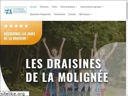 Sites similar to draisines.online