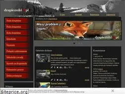 Sites similar to drapiezniki.pl