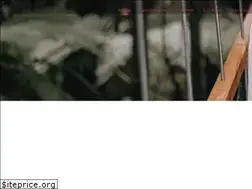 Sites similar to dreamersandhumans.lt