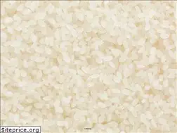 Sites similar to dreamrice.co.jp