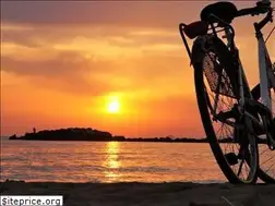 Sites similar to dreamriderflorida.com