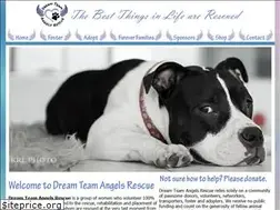 Sites similar to dreamteamangelsrescue.com