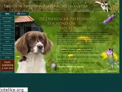 Sites similar to drentsche-patrijshond.eu