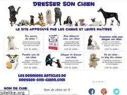 Sites similar to dresser-son-chien.com