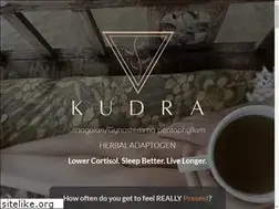 Sites similar to drinkkudra.com