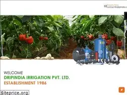 Sites similar to dripindia.com
