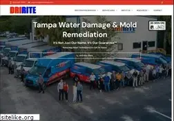Sites similar to driritetampa.com