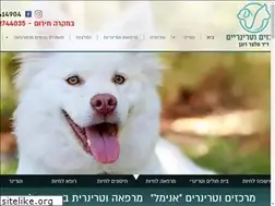 Sites similar to drmeltzer.co.il
