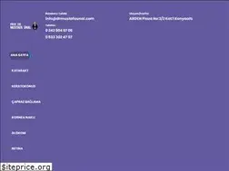Sites similar to drmustafaunal.com