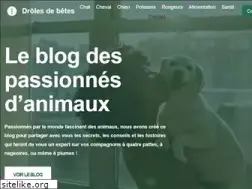 Sites similar to droles-de-betes.com
