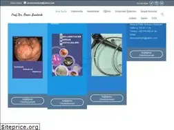 Sites similar to dromersenturk.com