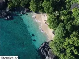 Sites similar to dronego.fr