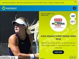 Sites similar to dropshotseries.com