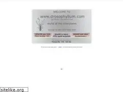 Sites similar to drosophyllum.com