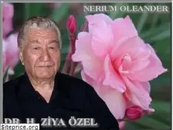 Sites similar to drozel.org