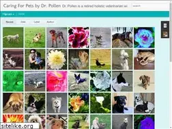 Sites similar to drpollen.blogspot.com